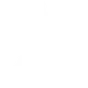 Bergmann Empire