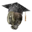 Higher Education