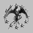 Caldari state Joint task force