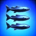 Manta Men