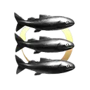 Platypus Dreams