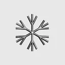Unique Snow Flake Society