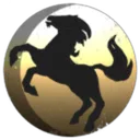 PONIES EVERWHERE