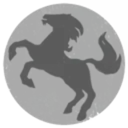 54th Ranger Company