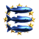 Baby Shark Academy