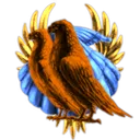 Wormhole Birbs