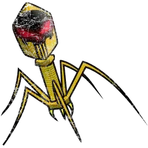 Pandemic Legion