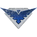 Phoenix Naval Systems