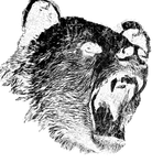 Aggressively Passive Bears