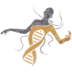 Xagenic Freymvork