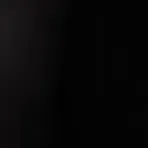 Karmic Shadow