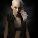 Borg Mue