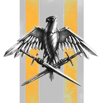 VVS Corporition