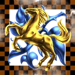 Spaceriders Inc.