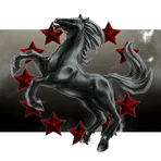 Steel Horse Transport and Trading Corp.