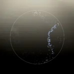 United Society of the Dark Horizon