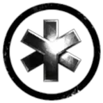 Auriga inc