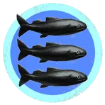 The Salmon of Doubt