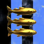 Salsbery Guppies