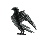 Black Paradise