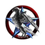 Star Eagle Security Services