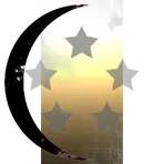 Caldari Navy Specialized Forces