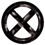 The V Corporation