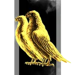 Innovative Designs Inc.