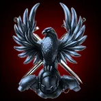 Black Knights Of Justice