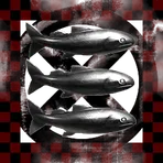 Autistic Sharks