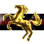 4th Cavalry Space Forces