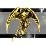 The New Federation