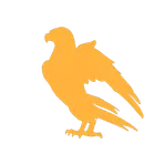 monashechka corp