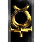 Order of the Blessed Sisters of Amarr