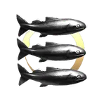 Platypus Dreams