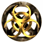 The Nizari