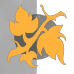 Akomu Aoshi