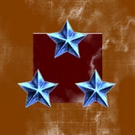Joint Component Commands