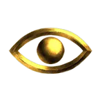 Expert Vision