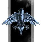 Suns of Anarchy Black Rise