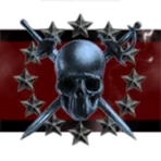 Marine Expiditionary Space Force