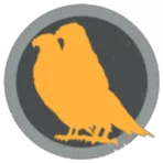 Deep Space Network Inc.