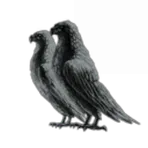 Twin Birds