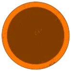 We Sell Oranges