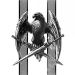 Braun Enterprises