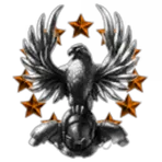 135th Flying Vikings
