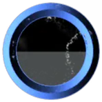 Schwarzschild Casimir Collective