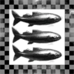 Master-Baiters