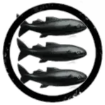 Subway Salmon