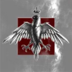 Polska Flota Wojenna